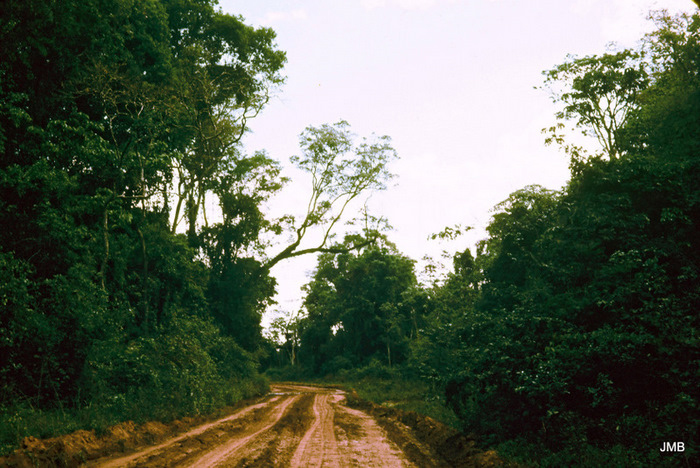 AÑO 1974 - COLOR - VIDA CAMPESINA EN PARAGUAY (JOSÉ MARÍA BLANCH)